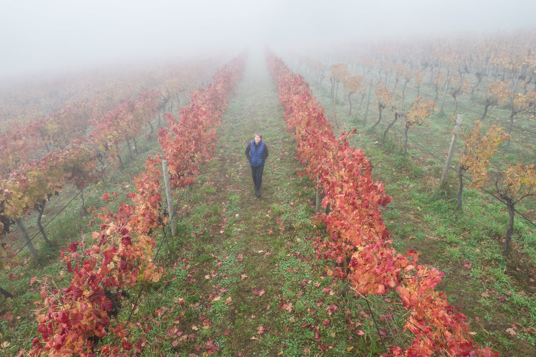 In conversation with: Celine Rousseau