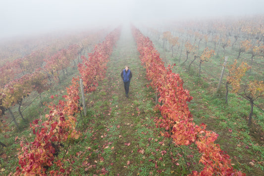 In conversation with: Celine Rousseau