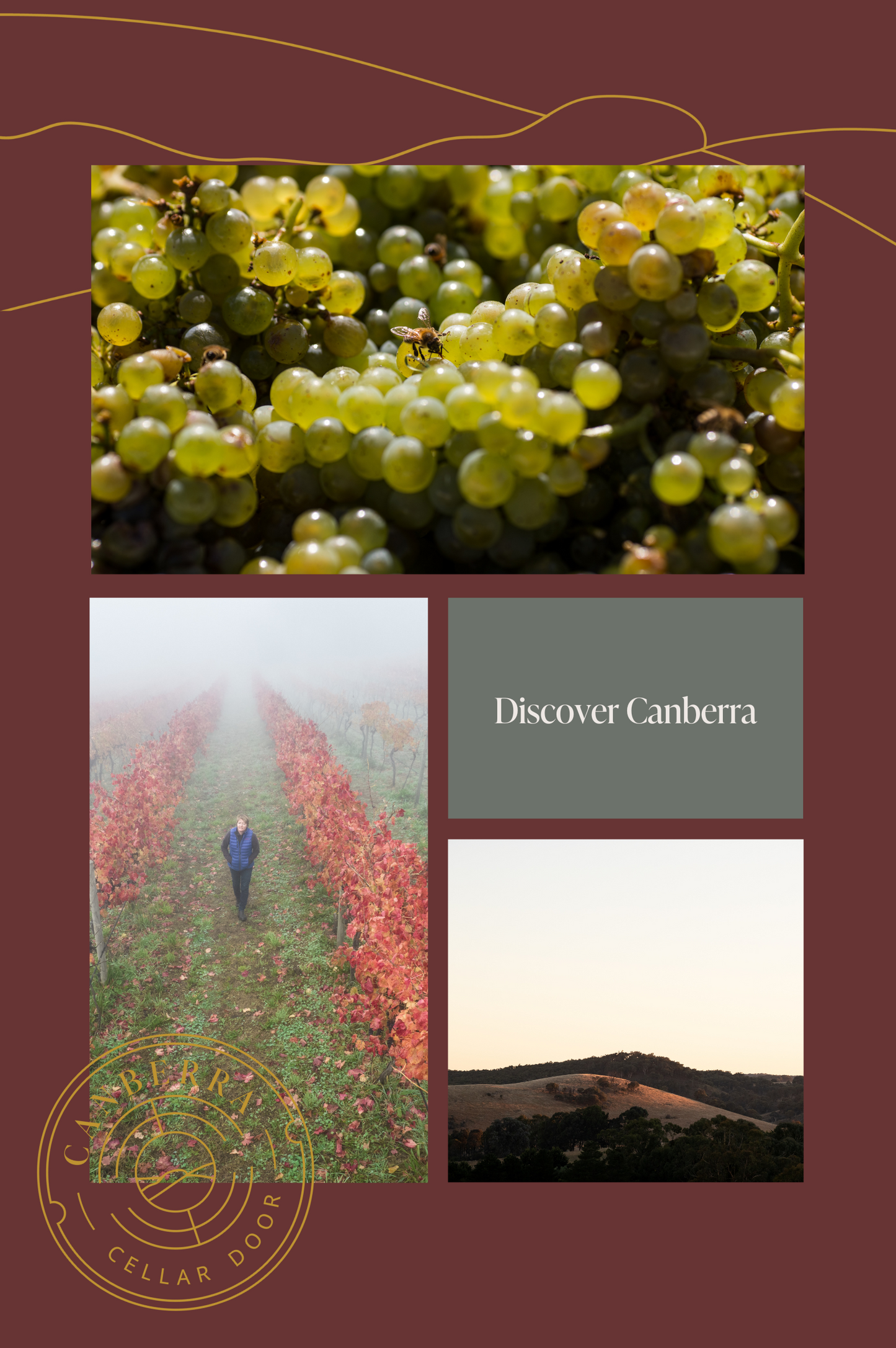 Discover Canberra, 23 November